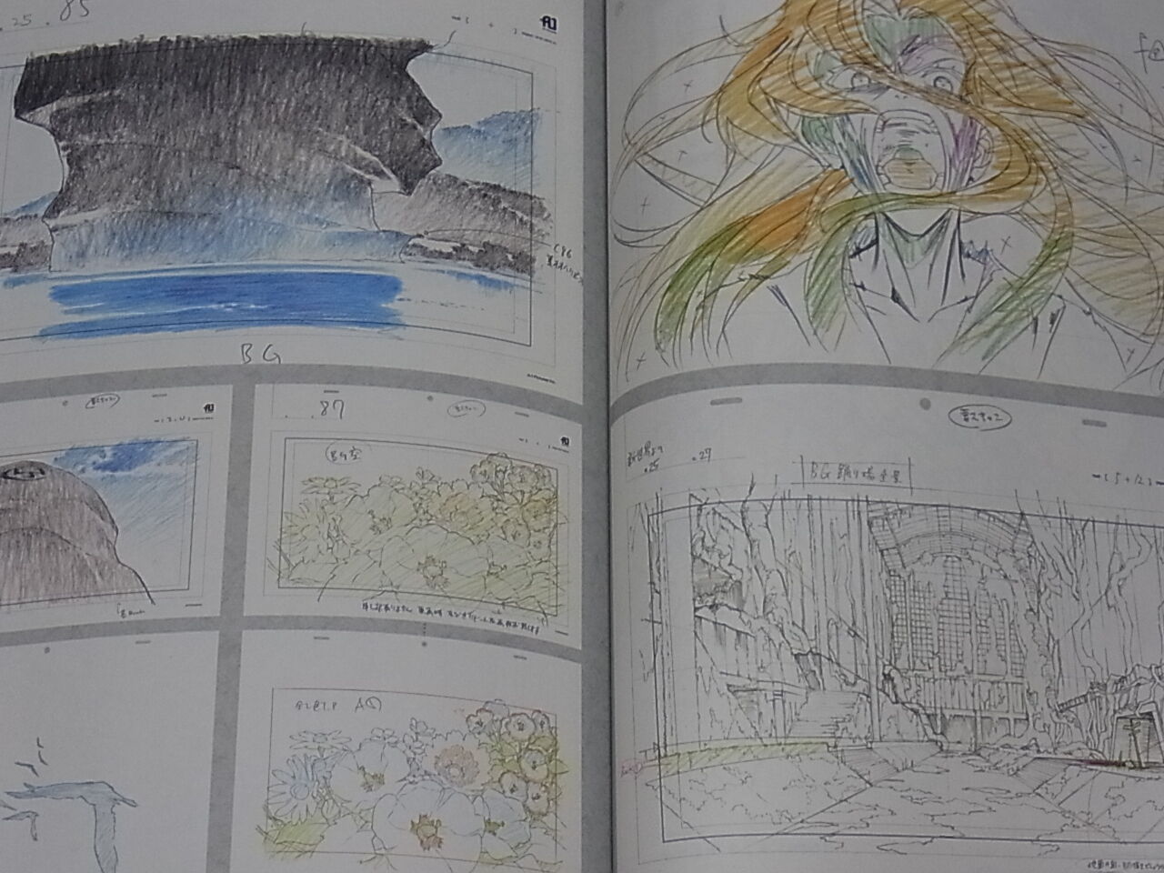 From the New World Animation Keyframe Art Works From the Animation World 148page 