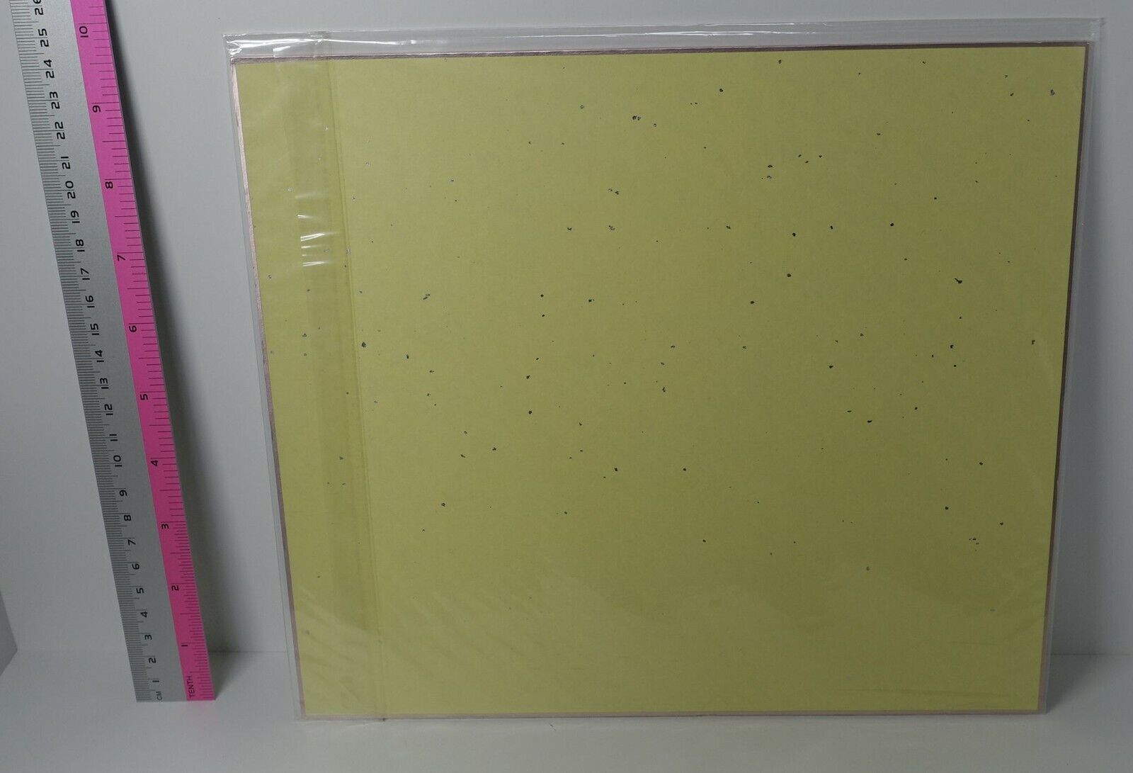 Puella Magi Madoka Print Shikishi Art Board Ume Aoki & Gekidan Inu Curry 