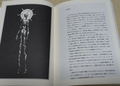 Haruko Ichikawa Houseki no Kuni Land of the Lustrous Vol.11 with Picture Book 