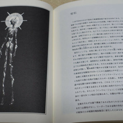 Haruko Ichikawa Houseki no Kuni Land of the Lustrous Vol.11 with Picture Book 