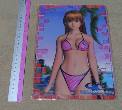 Dead or Alive Xtreme Beach Volley Ball PVC Reversible Art Board Kasumi & Ayane 
