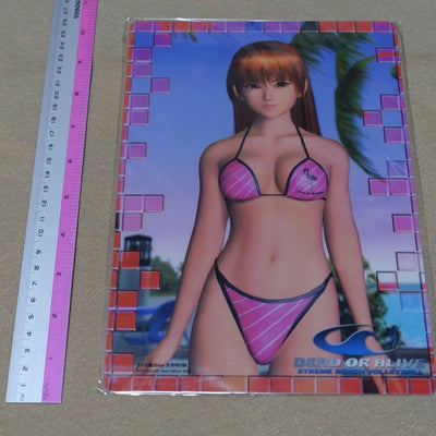 Dead or Alive Xtreme Beach Volley Ball PVC Reversible Art Board Kasumi & Ayane 