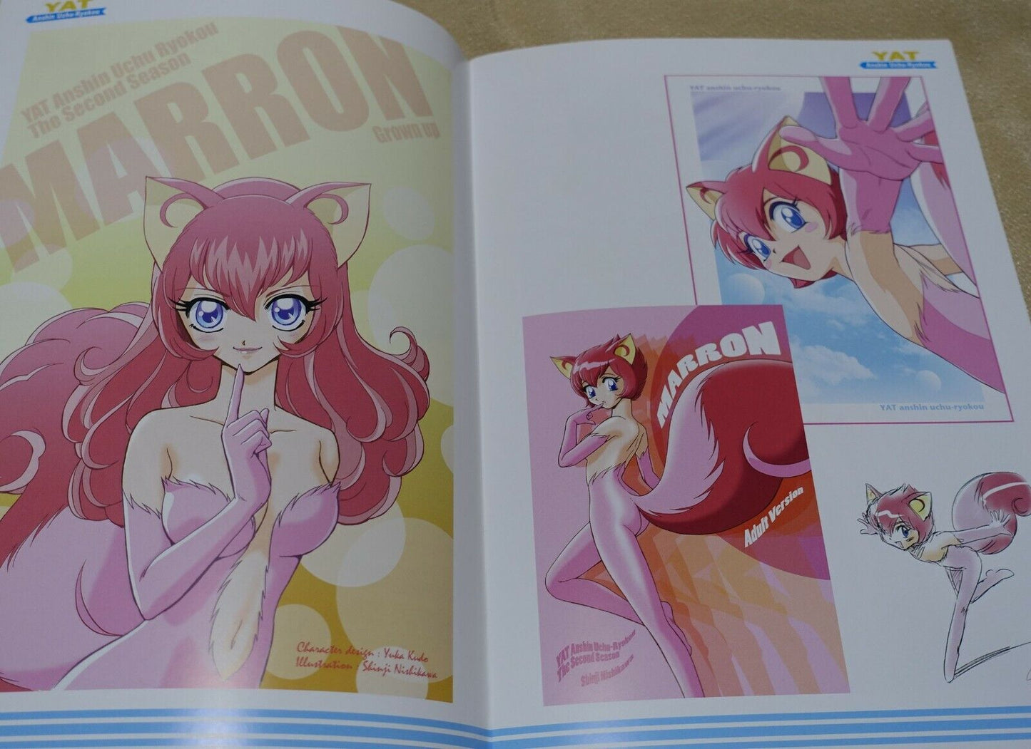 SHINJI NISHIKAWA YAT Anshin! Uchu Ryoko Author's Color Art Doujinshi Book 