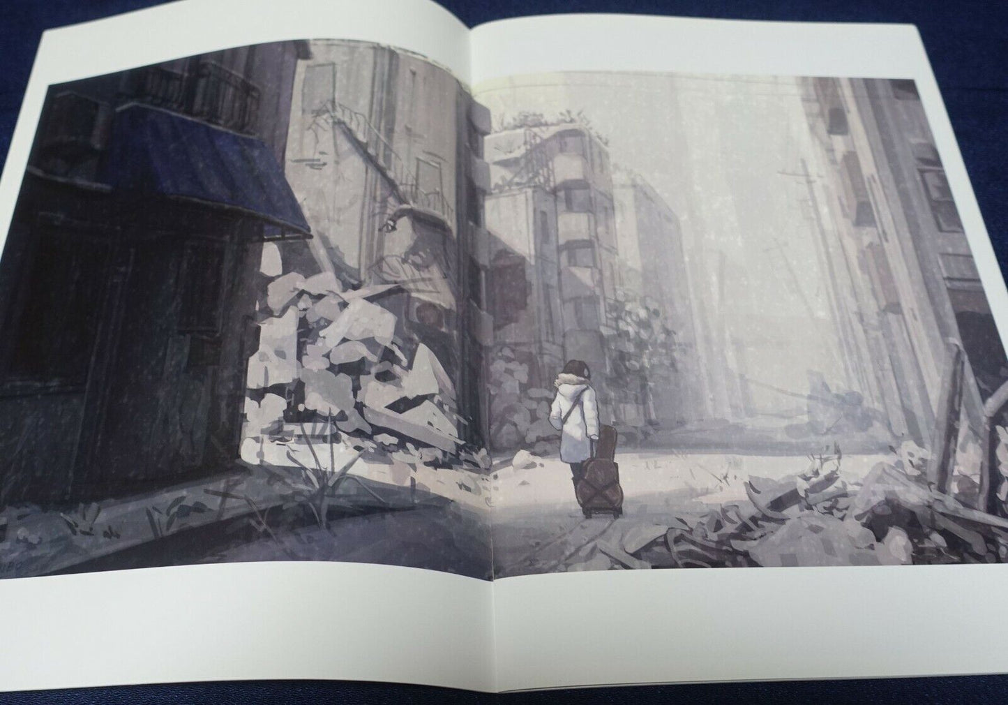 TANENBO Works Color Illustration Art Book Edge of shallow land 