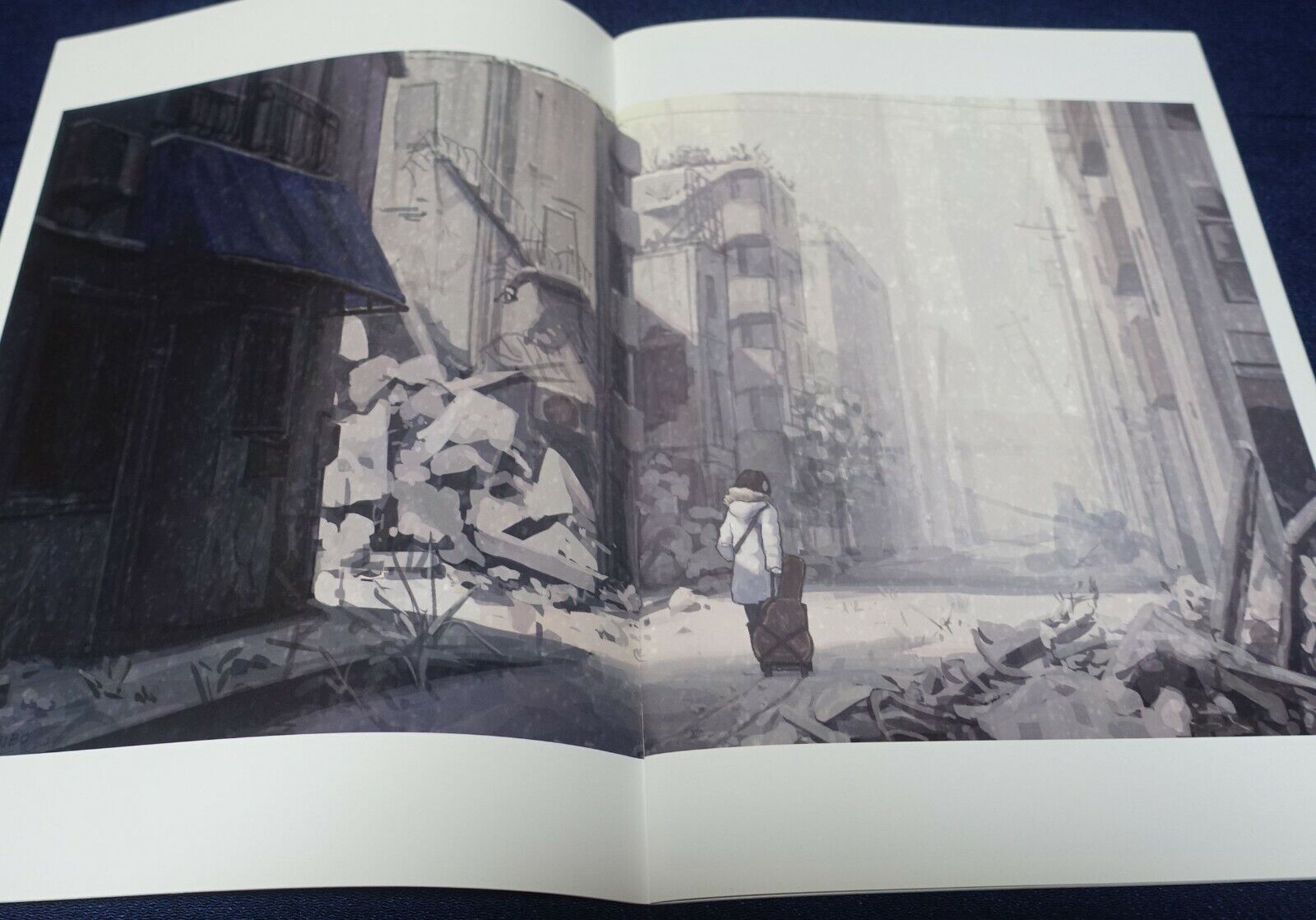 TANENBO Works Color Illustration Art Book Edge of shallow land 