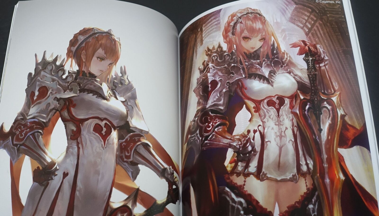 Nanatorie N.A Rage of Bahamut Art Work Book Historie 