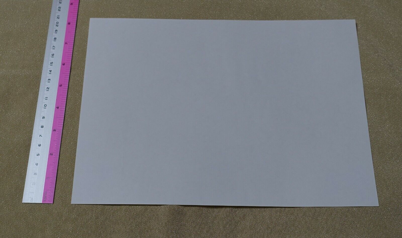 Little Witch Academia Event Privilege Print Key Frame Art No.18 Akko 