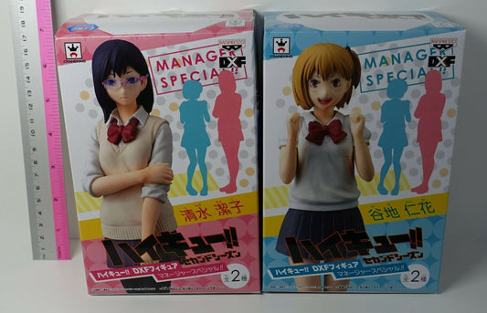 Banpresto Haikyuu!! Kiyoko Shimizu & Hitoka Yachi DXF Figure Manager Special!! 