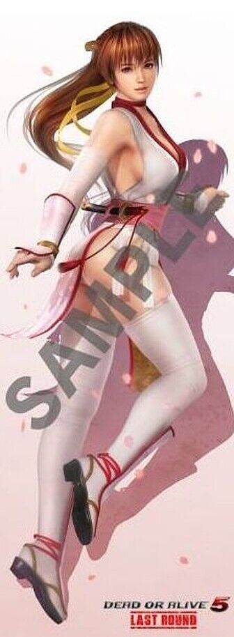 DEAD OR ALIVE 5 Last Round Kasumi Life Size Tapestry 184x72cm DOA5 RARE 