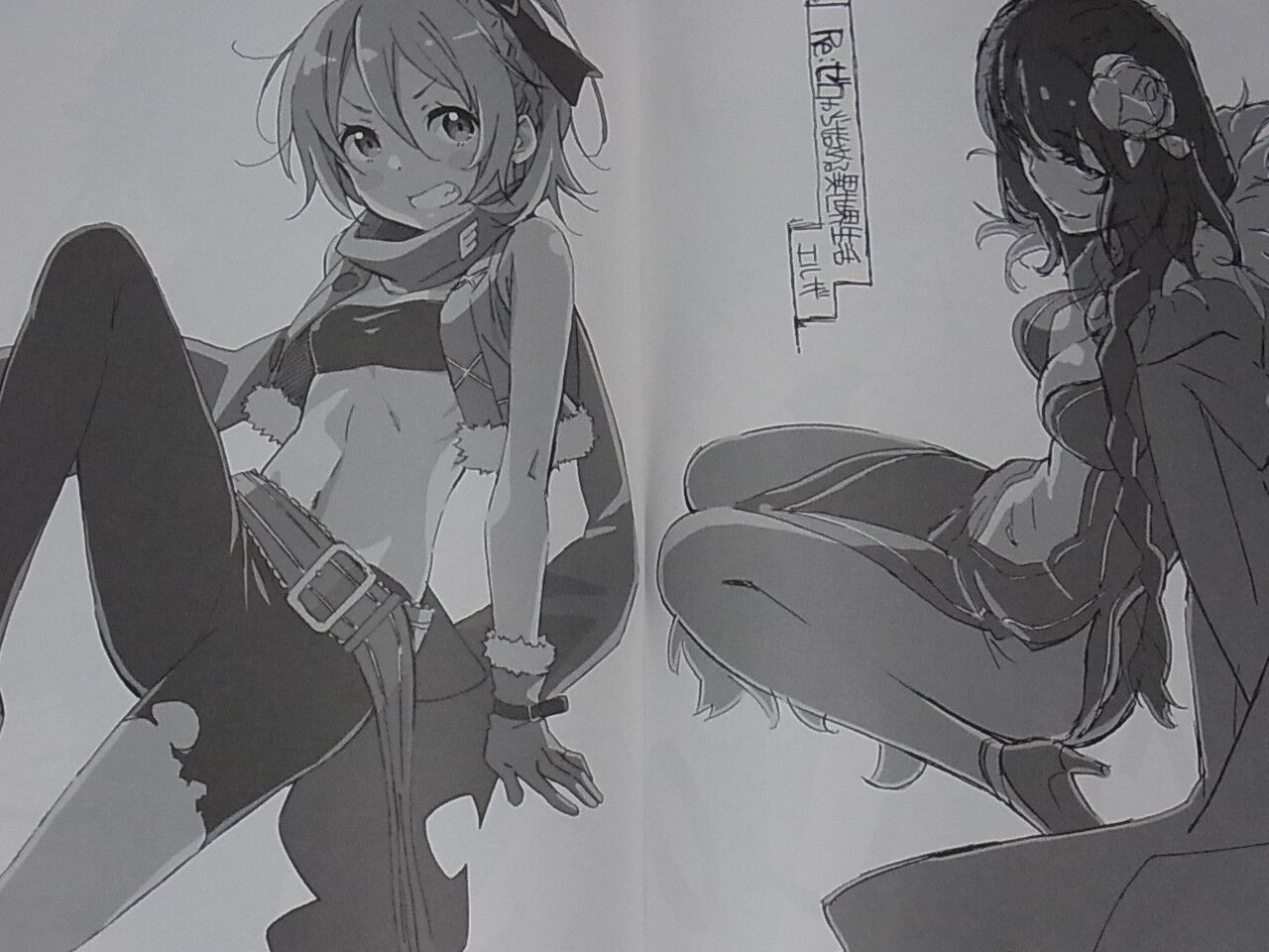 Animation Re Zero Staff Illustration Art Doujinshi Zero Kara hajimaru Ehon 