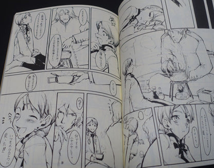 Honjou Raita Nausicaa of the Valley of the Wind Fan Made Comic NAUSICAA SHOWCASE 