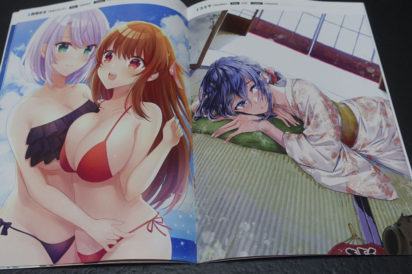 Melonbooks Comic Market 100 Art Book & Goods Set C100 