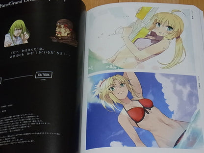 Mayutokage Fate Grand Order CM Animation Original Drawing Works FGO Key Frame 