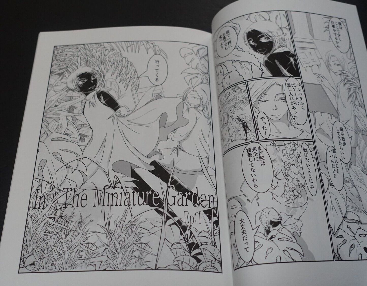Kakiflyteishoku Houseki no Kuni Land of the Lustrous Fan Made Comic in the minia 