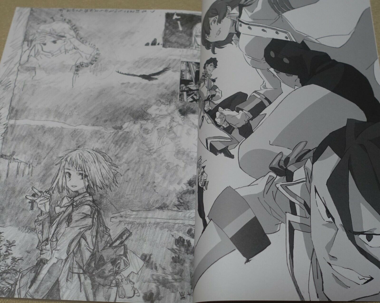 SSSS.DYNAZENON Staff Illustration Art Book Gridman 