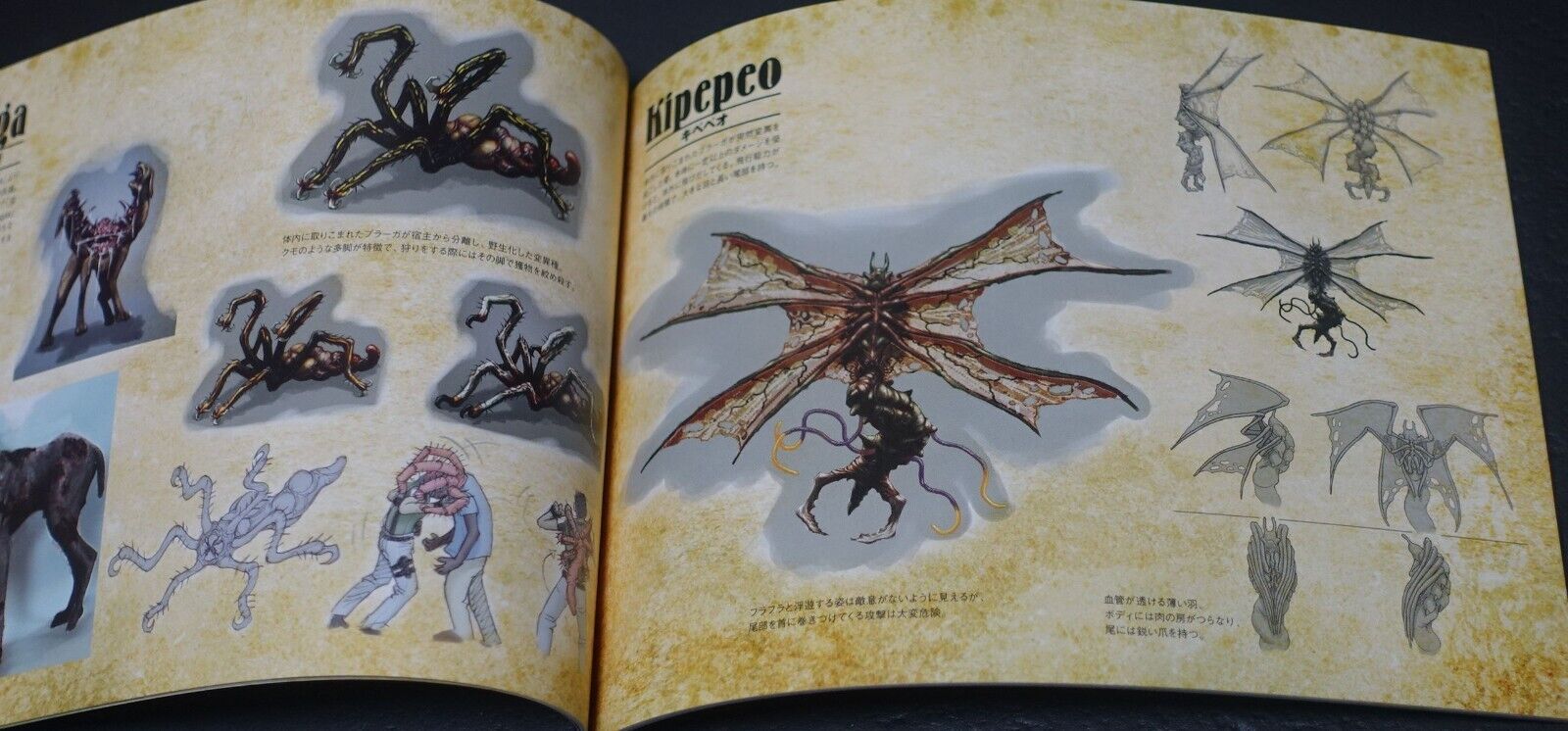 CAPCOM Resident Evil BIOHAZARD 5 Mini Art Book 
