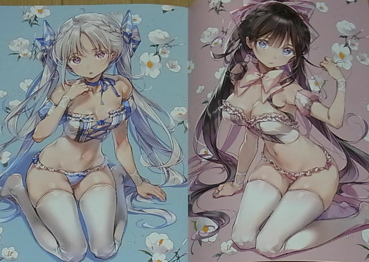 DS mile Original Color Art Book color of summer 