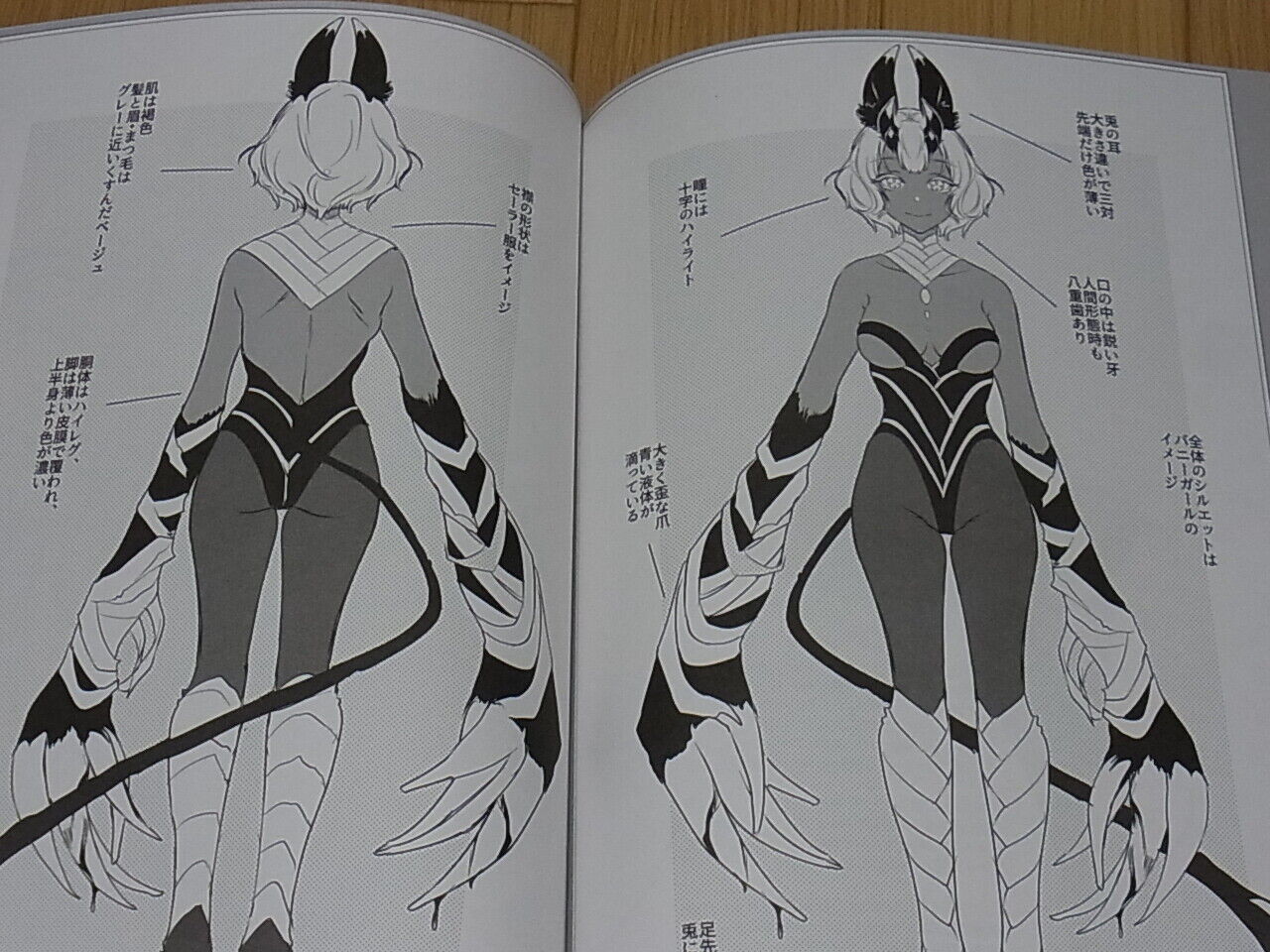 Pochi Iida The Elder Sister Like One Illustration Art Book Ane Naru Mono 7.5 