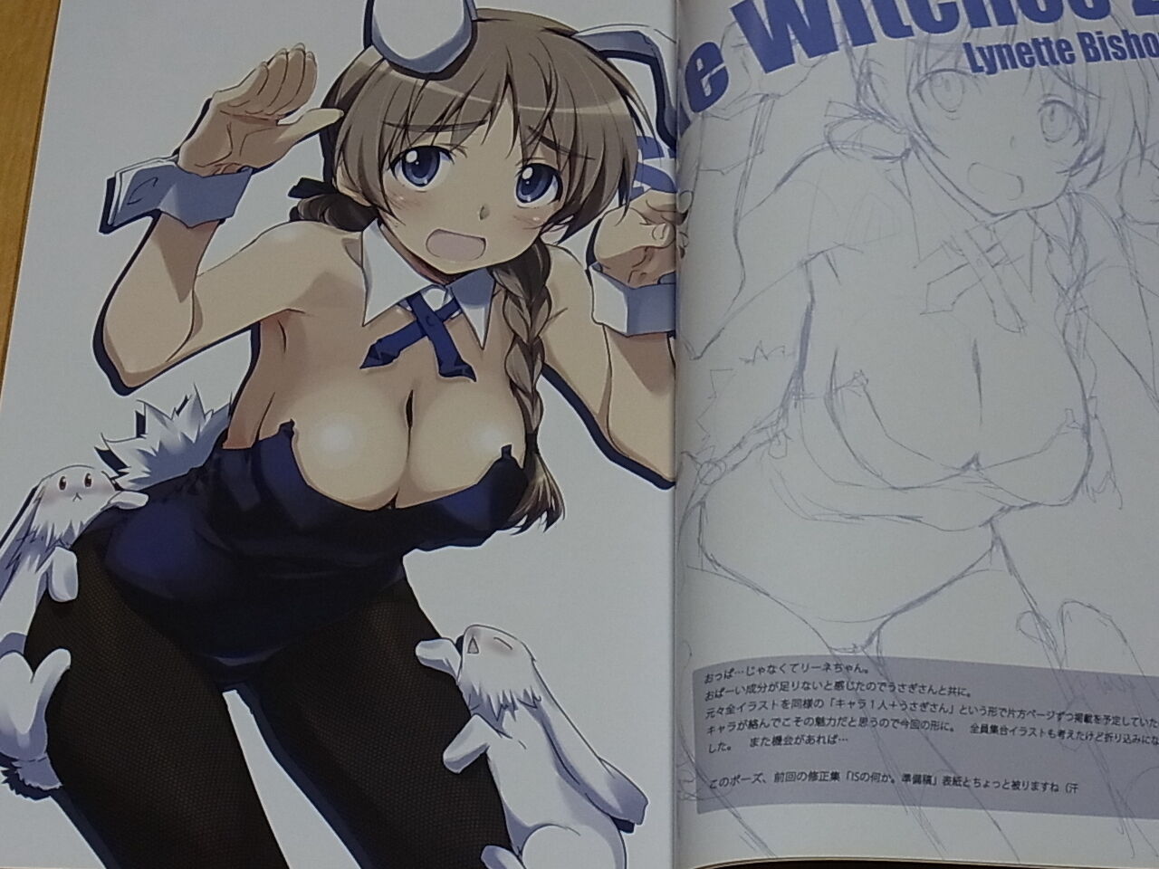 Tomoyasu Kurashima Strike Witches2 Anime Rough Work Collection SW2 no Nanika ! 