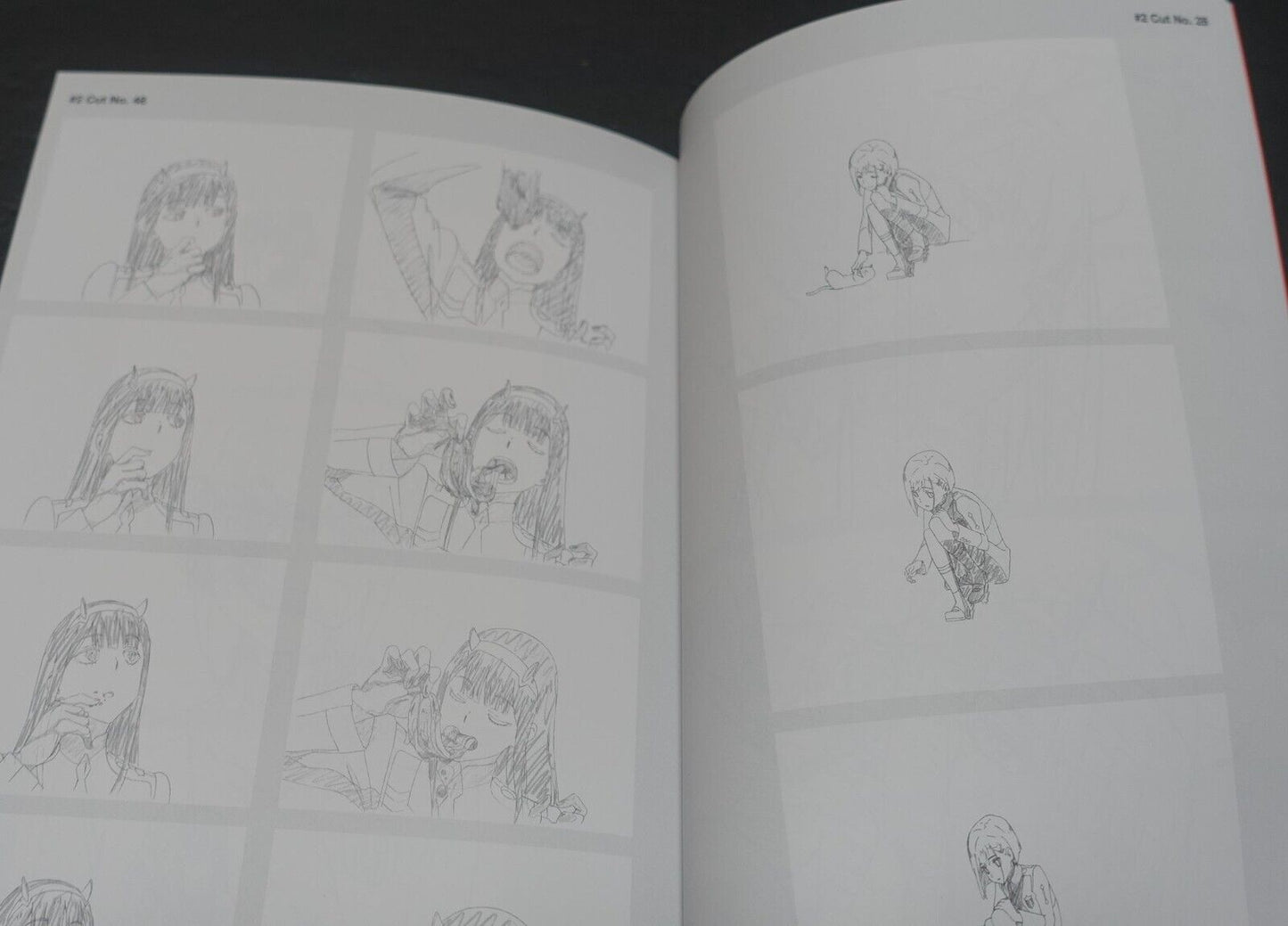 Darling in the Franxx Setting Art Book 1-2 & Key Frame Art Book 1-2 Set 