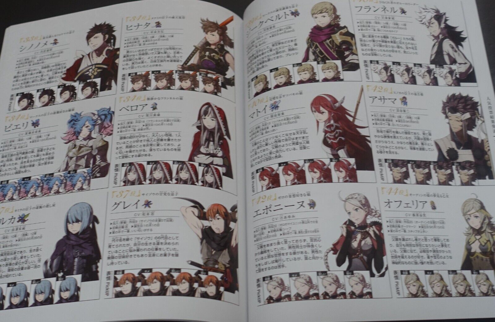 Fire Emblem If Fates Character Fan Book 
