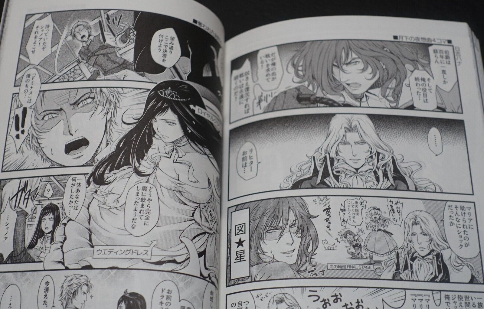 Akumajo Dracula Castlevania 25th Aniv Fan Made Anthology Comic 