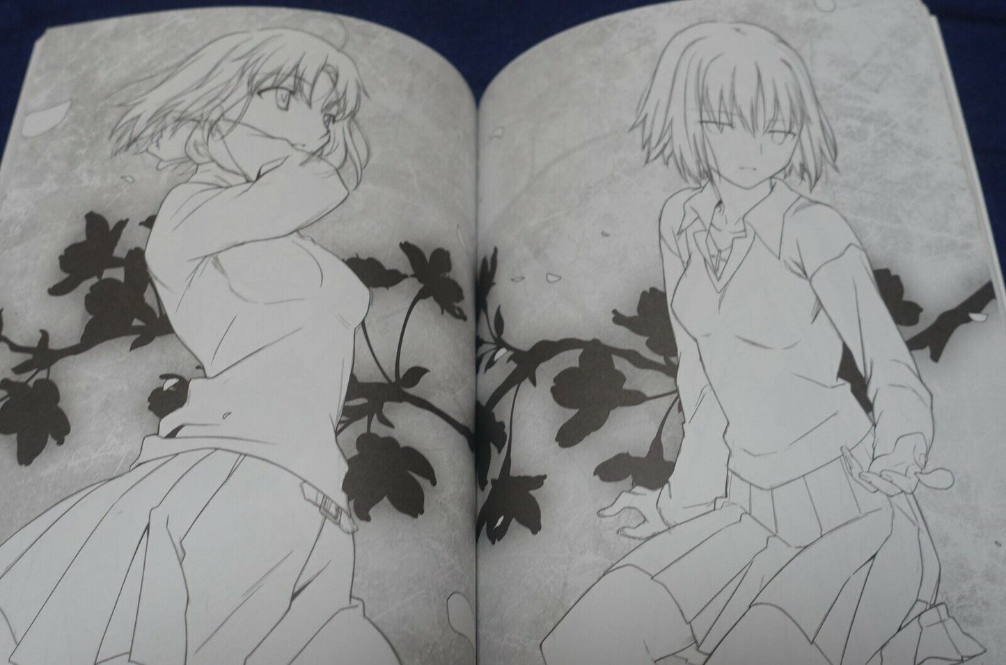 Takashi Takeuchi Take Ho-ki Illustration Art Book The BAMBOO BROOM 
