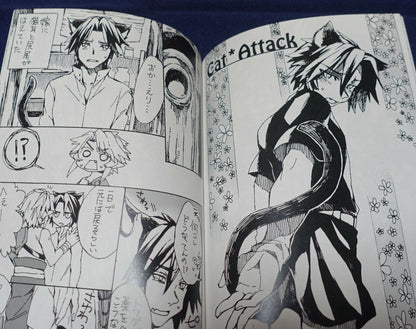 Soaraya Legend of Zelda Link & Dark Link Fan Made Comic Love Attack 