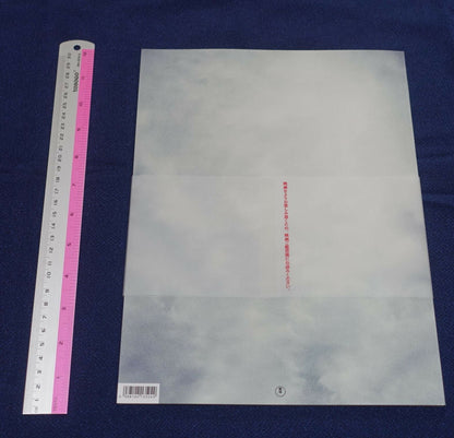 Shin Ultraman Movie Brochure Pamphlet 