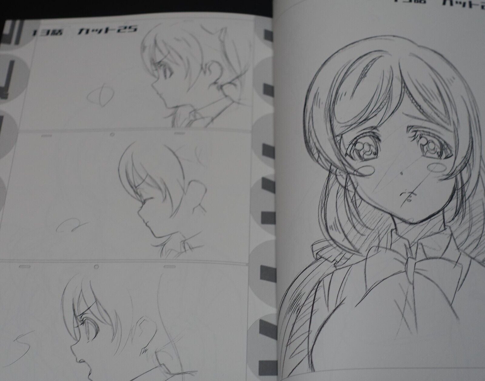 Rihiro Yamane Animation Work Book Lovelaviver C102 