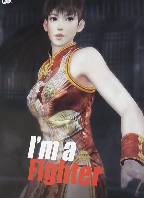 Dead Or Alive 5 Privilege Item I'm a Fighter Poster B2 Big Size Leifang 