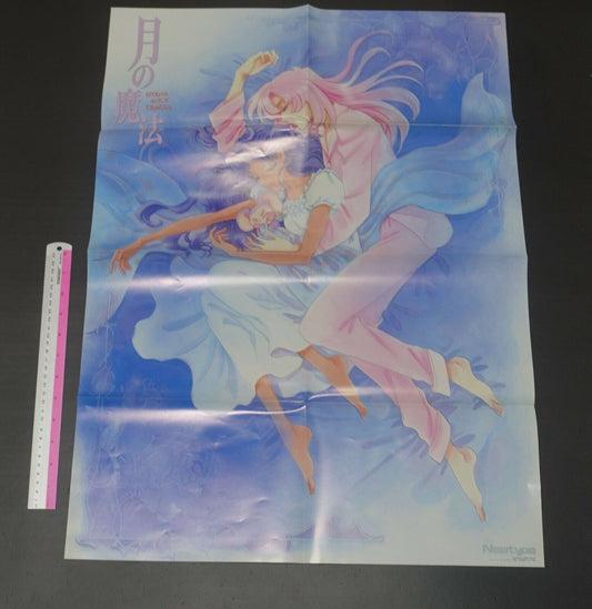 GIRL'S REVOLUTION UTENA Big Size Poster B 