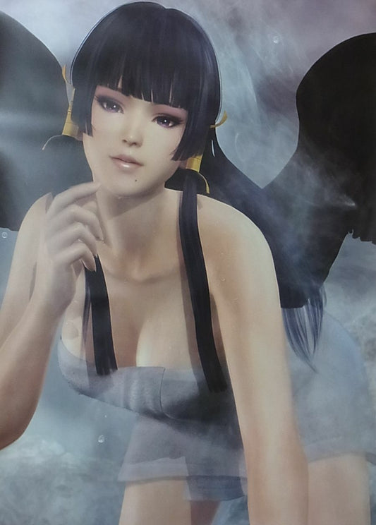 DEAD OR ALIVE 5 Last Round B2 SIZE Bath Room POSTER Nyotengu DOA5 