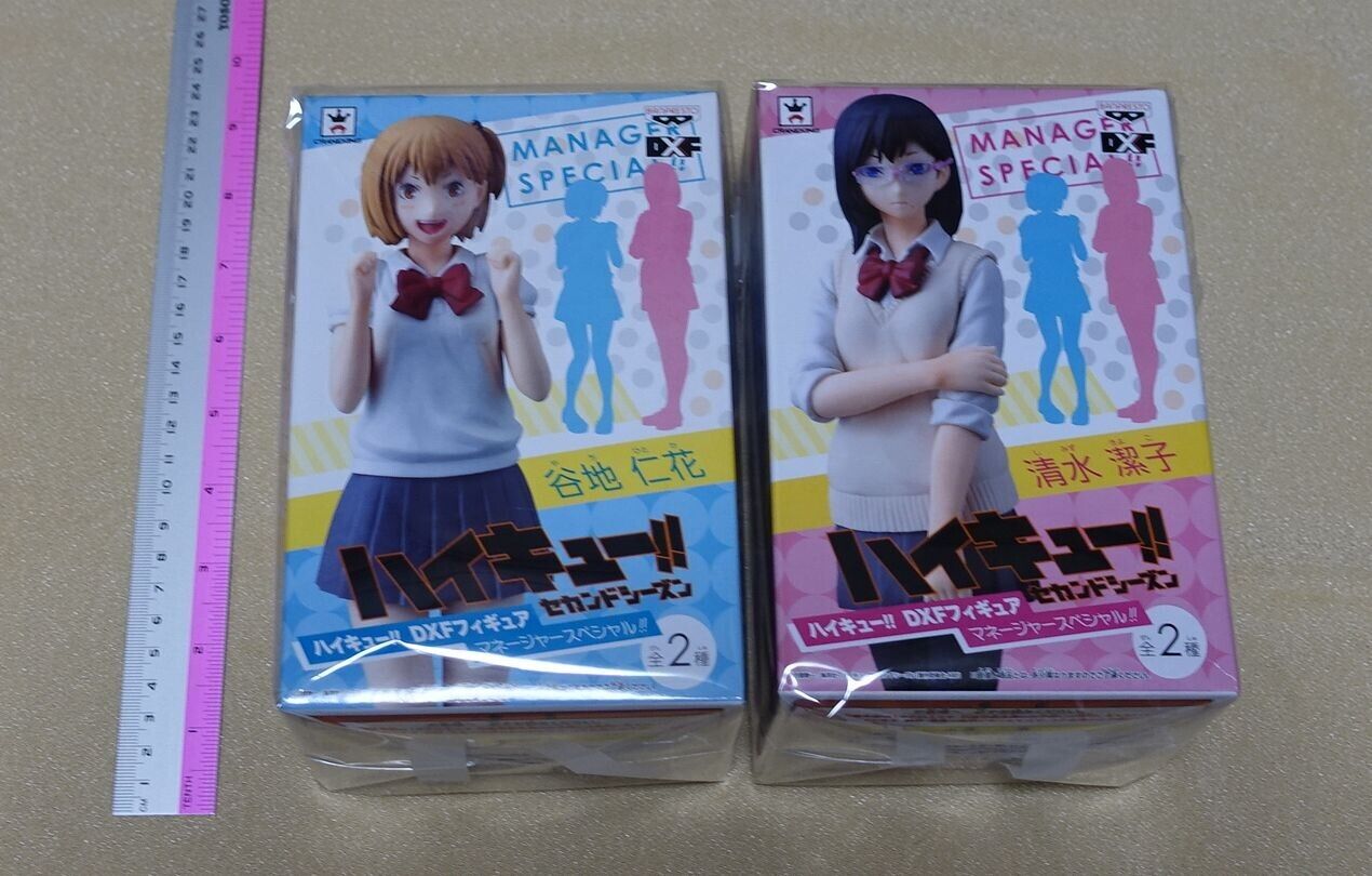 Banpresto Haikyu!! Kiyoko Shimizu & Hitoka Yachi DXF Figure Manager Haikyuu 