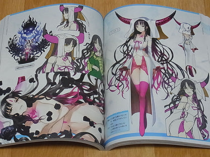 TYPE-MOON Fate EXTRA material Arco Wada 