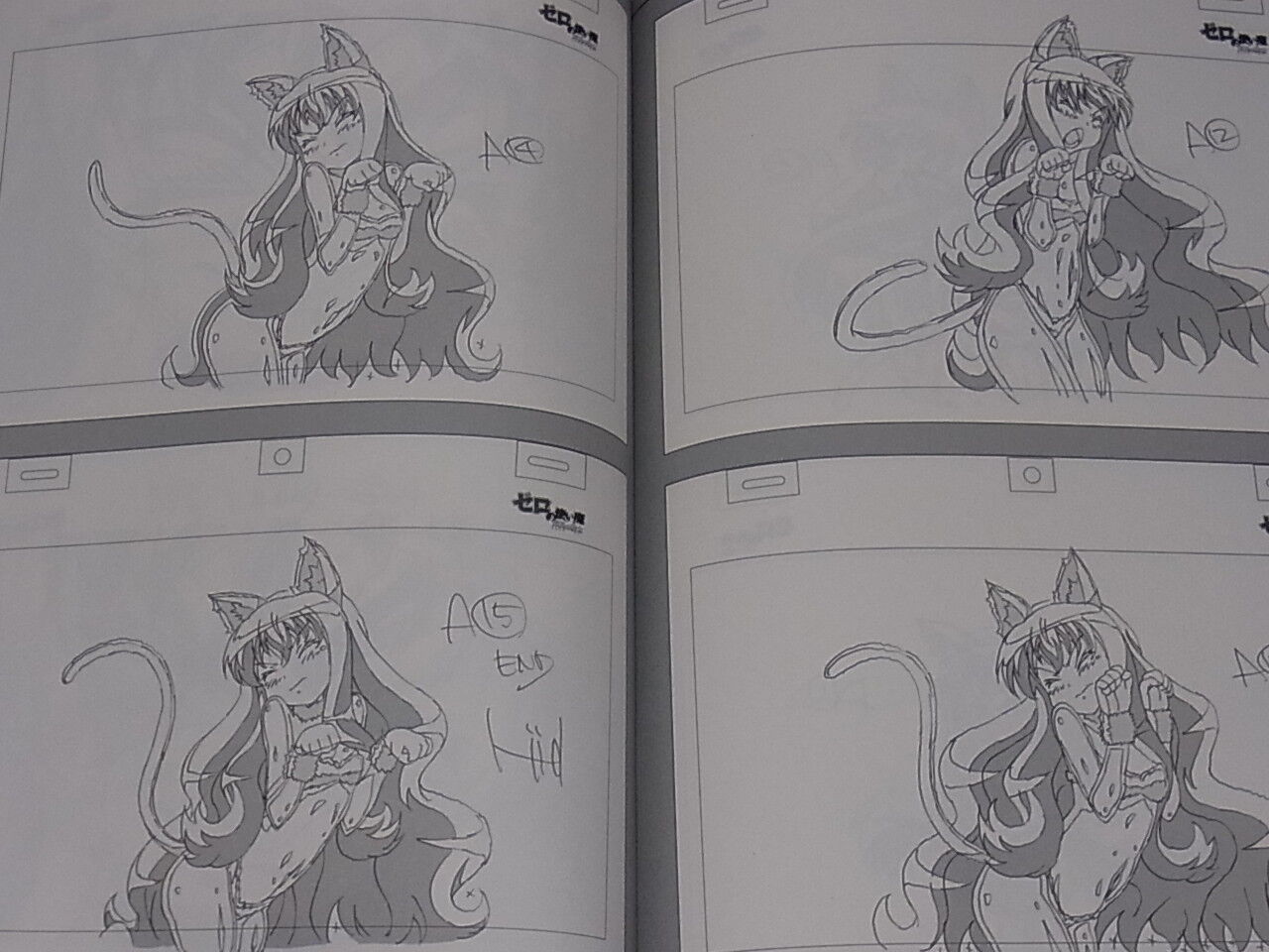 Shingo Fujii Animation Keyframe art works The Familiar of Zero Tsukaima C92 