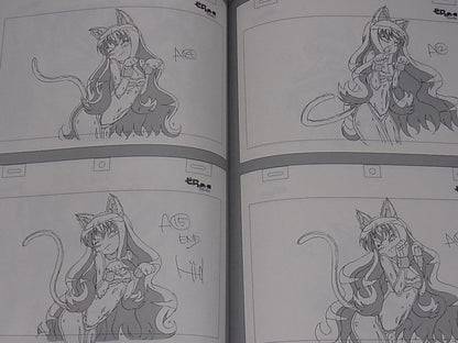Shingo Fujii Animation Keyframe art works The Familiar of Zero Tsukaima C92 