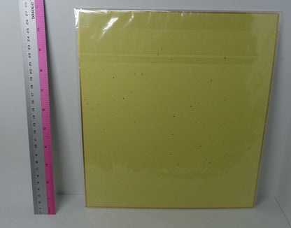 Black Bullet Printed Shikishi Art Board 