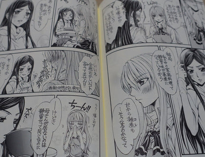 Doropanda Tours Mai-Hime My-Otome Natsuki&Shizuru Fan Doujinshi Comic Sishunki 
