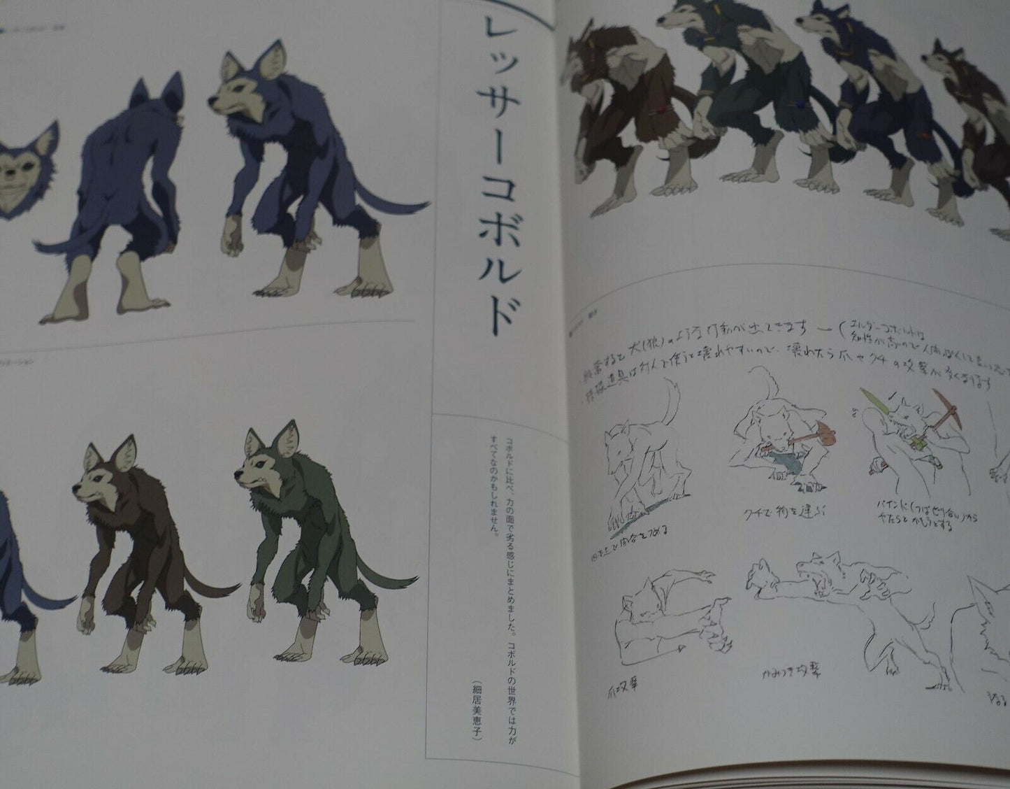 Animation Grimgar of Fantasy and Ash DESIGN WORKS 304 page 
