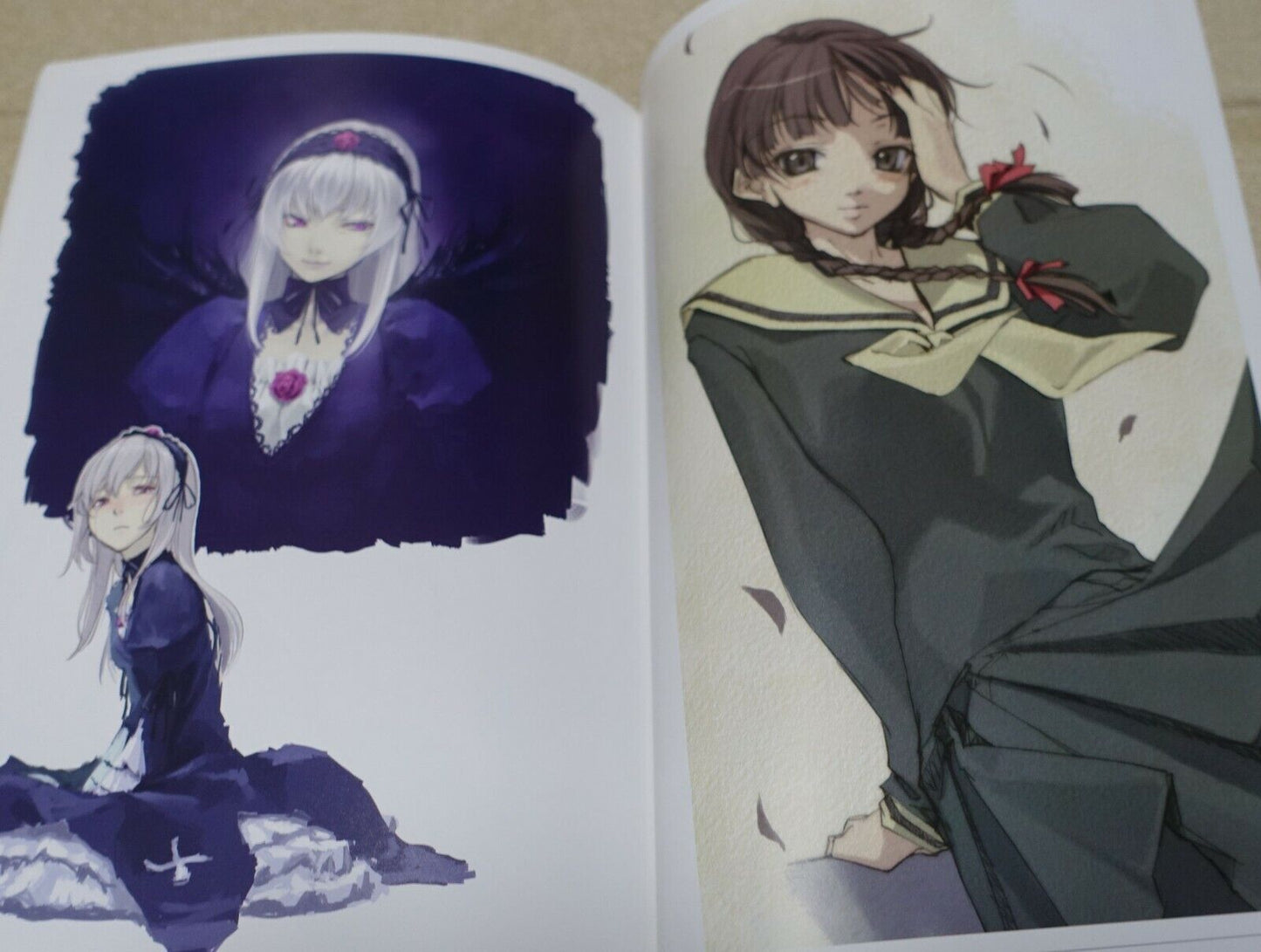 leftside Original Color Art Book FLOWING 