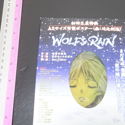 TOSHIHIRO KAWAMOTO Illustration Art Cloth Poster WOLF'S RAIN 