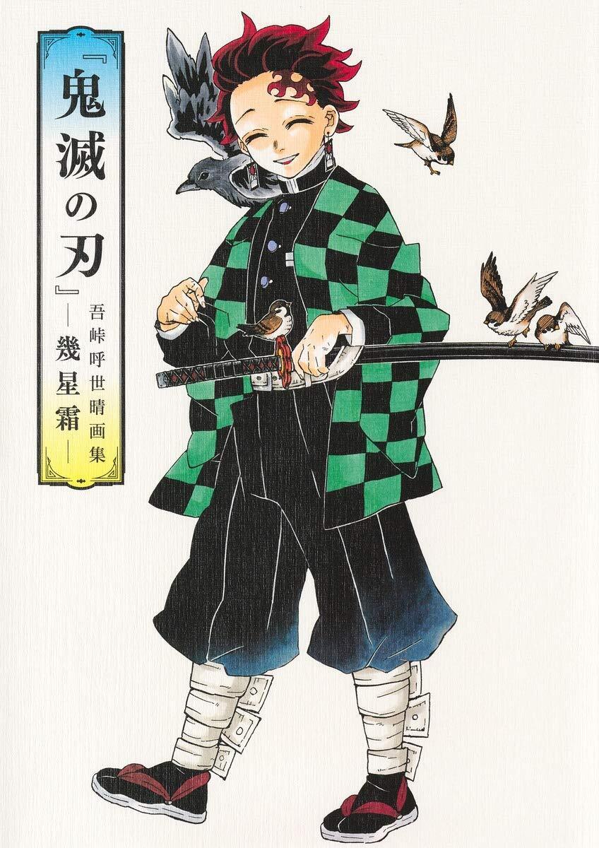 Koyoharu Gotouge Demon Slayer: Kimetsu no Yaiba Art Book Ikuseisou 