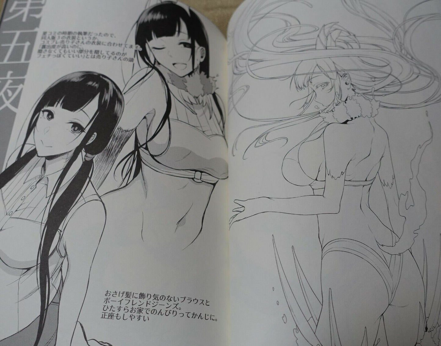 Pochi Iida Goya The Elder Sister Like One Art Book Ane Naru Mono 4.5 