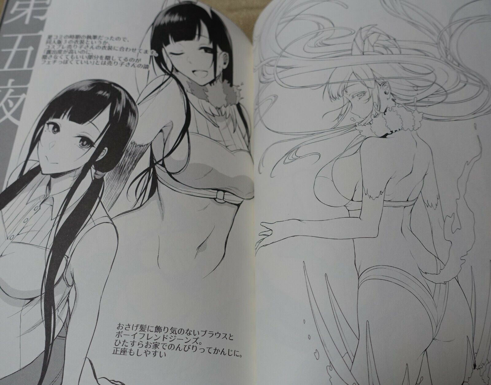 Pochi Iida Goya The Elder Sister Like One Art Book Ane Naru Mono 4.5 