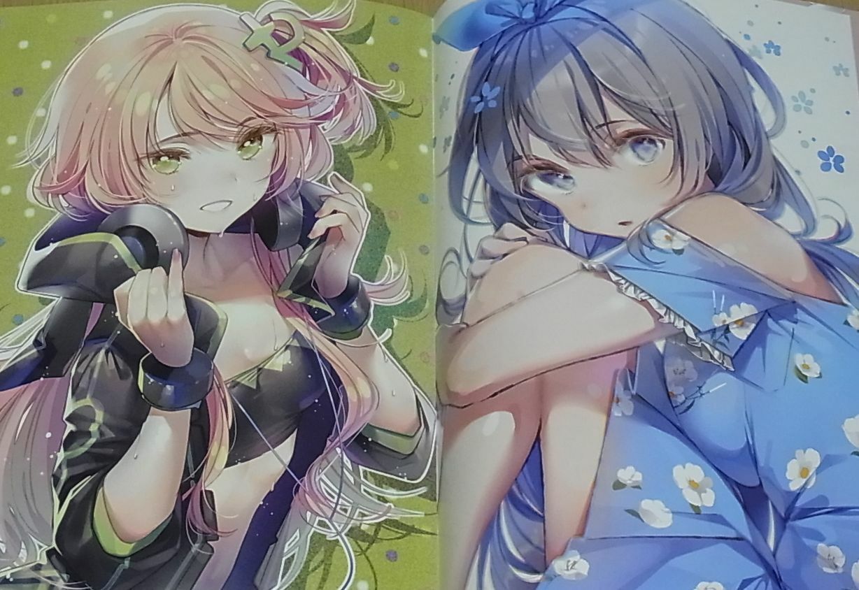 DS mile Original Color Art Book color of summer 