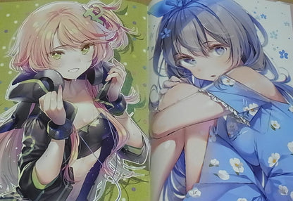 DS mile Original Color Art Book color of summer 