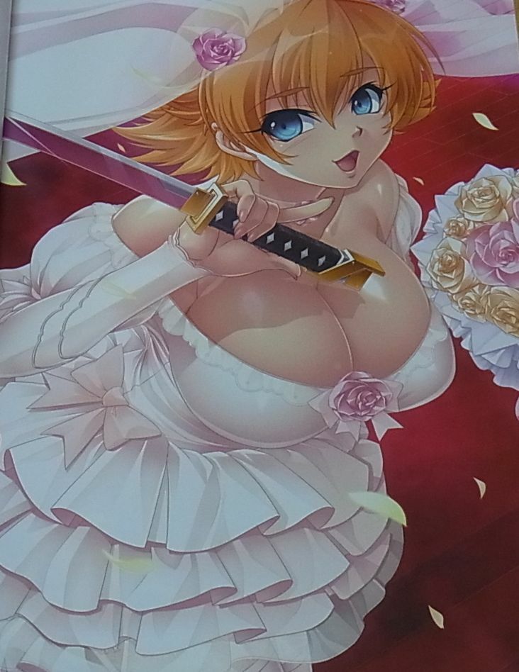 TAIMANIN ASAGI BATTLE ARENA CHARACTER VISUAL BOOK 4 NINJA GIRL 