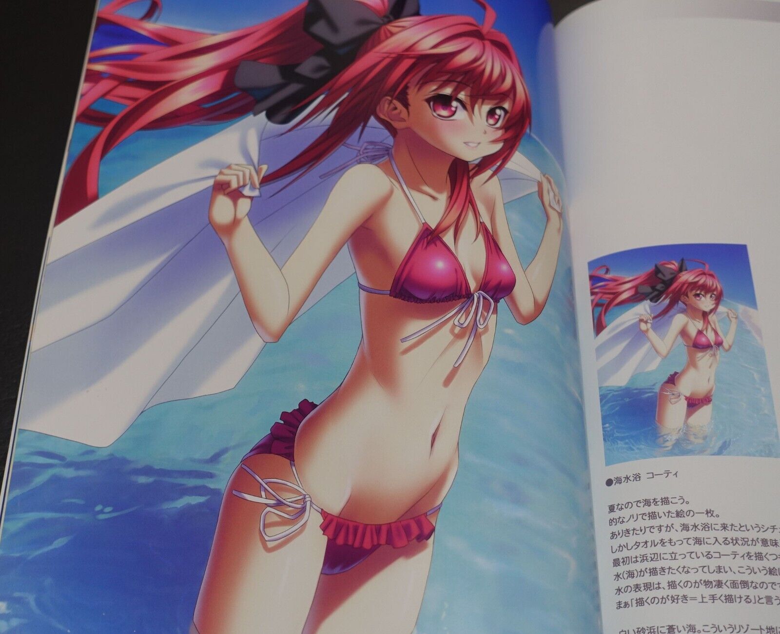 Kannaduki Noboru Light of Night Shinkyoku Sokai Polyphonica Designer's Art Book 