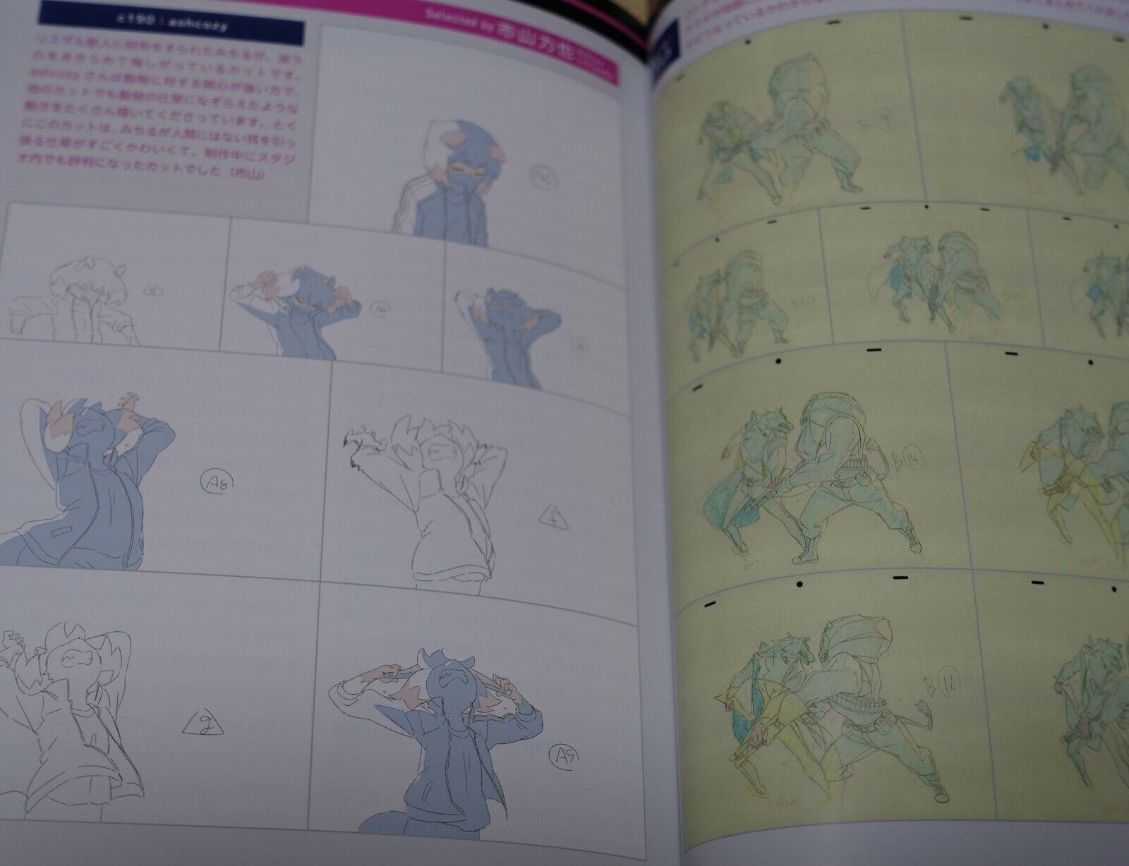 BNA Animation Art Work Book 9 Complete Set Design Key Frame Story Board 